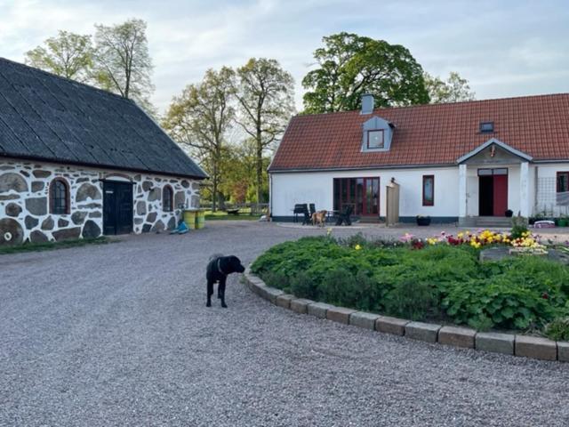 Ormanasgarden Lejlighed Höör Eksteriør billede